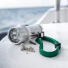 Plongée de nuit en Martinique : quand les récifs du Diamant s'allument sous la lampe
