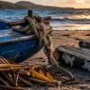 Pic cyclonique en Martinique : ce que septembre change vraiment pour le voyageur sur place