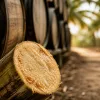 Le rhum AOC Martinique face aux craft spirits du monde entier : protéger ou s'ouvrir