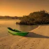 Ilet Madame en Martinique : une journée d’îlets, de mangrove et de sable blanc dans la baie du Robert