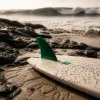 Où pratiquer le surf en Martinique : guide élégant des meilleurs spots de l’île