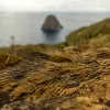 Morne Larcher au Diamant : la rando courte qui domine le Rocher et le canal de Sainte-Lucie